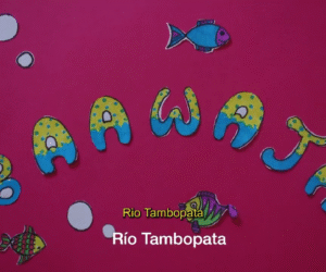 La combi del Arte: Baawaja | Rio Tambopata (legendado)
